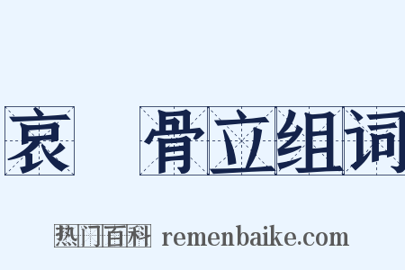 哀毀骨立组词是什么意思的图片